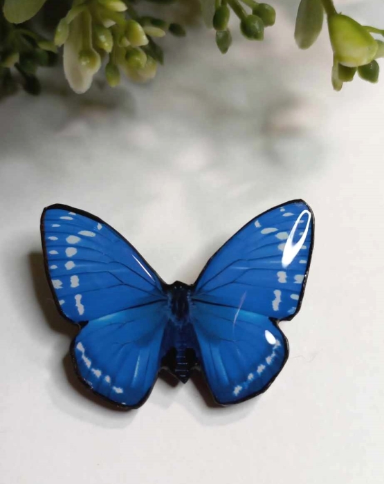 Brooch &quot;Ocean butterfly&quot;